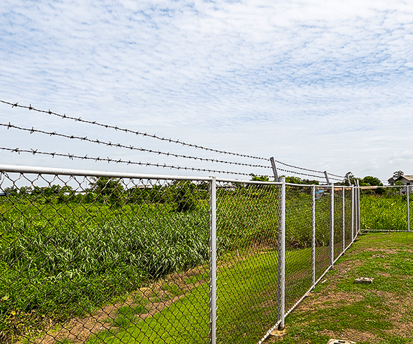 Agriculture